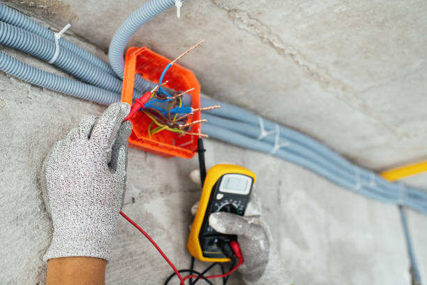 Best Affordable Electrician  in Moore Haven, FL